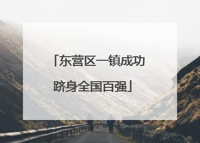 东营区一镇成功跻身全国百强