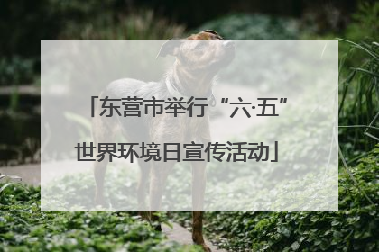 东营市举行“六·五”世界环境日宣传活动
