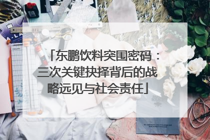 东鹏饮料突围密码：三次关键抉择背后的战略远见与社会责任