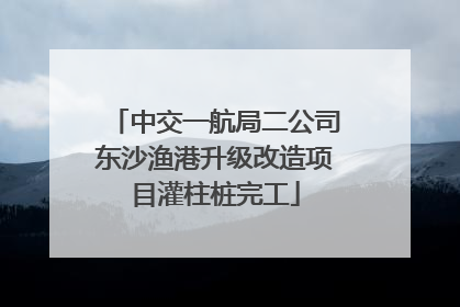中交一航局二公司东沙渔港升级改造项目灌柱桩完工