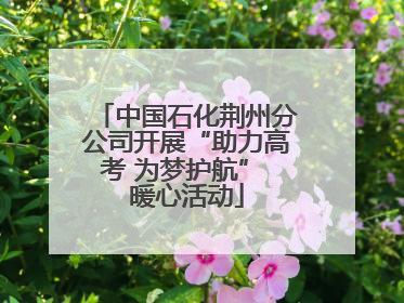 中国石化荆州分公司开展“助力高考 为梦护航” 暖心活动