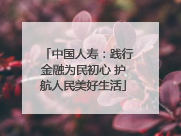 中国人寿：践行金融为民初心 护航人民美好生活