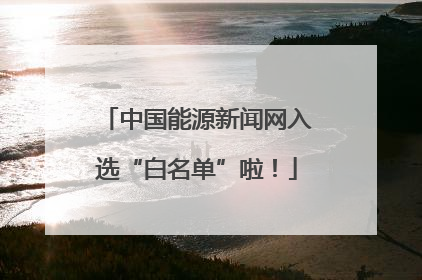 中国能源新闻网入选“白名单”啦！