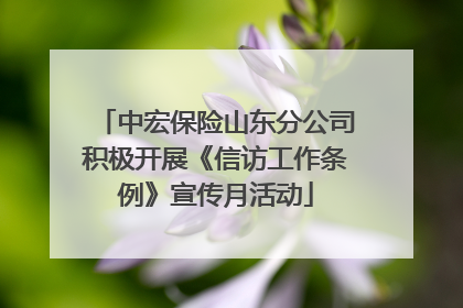 中宏保险山东分公司积极开展《信访工作条例》宣传月活动
