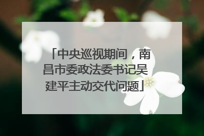 中央巡视期间，南昌市委政法委书记吴建平主动交代问题
