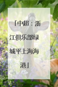 中超：浙江俱乐部绿城平上海海港
