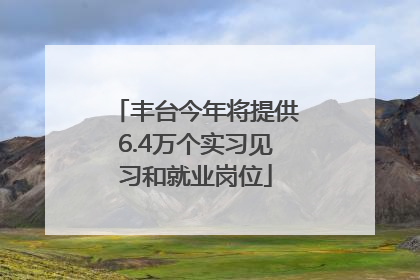 丰台今年将提供6.4万个实习见习和就业岗位