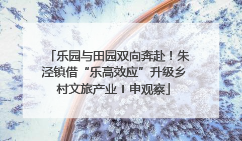 乐园与田园双向奔赴！朱泾镇借“乐高效应”升级乡村文旅产业〡申观察