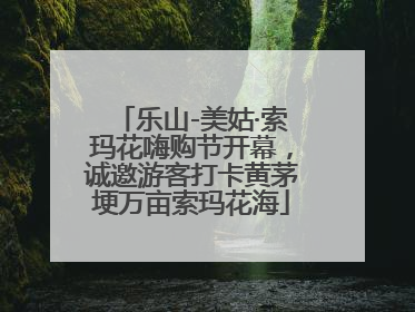 乐山-美姑·索玛花嗨购节开幕，诚邀游客打卡黄茅埂万亩索玛花海