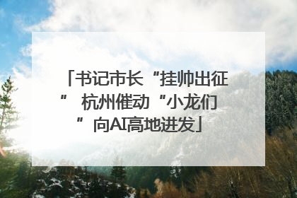 书记市长“挂帅出征” 杭州催动“小龙们”向AI高地进发