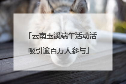 云南玉溪端午活动活吸引逾百万人参与