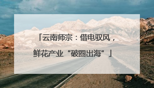 云南师宗：借电驭风，鲜花产业“破圈出海”