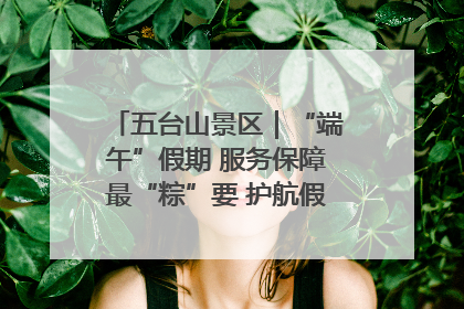 五台山景区｜“端午”假期 服务保障最“粽”要 护航假期“不打烊”