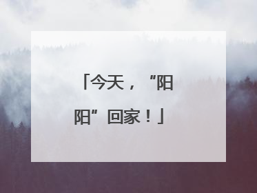 今天，“阳阳”回家！