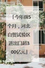 今年前5个月，河北自贸试验区进出口超300亿元