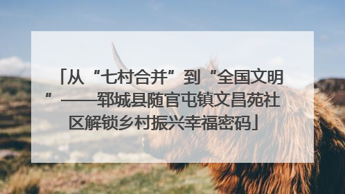 从“七村合并”到“全国文明”——郓城县随官屯镇文昌苑社区解锁乡村振兴幸福密码