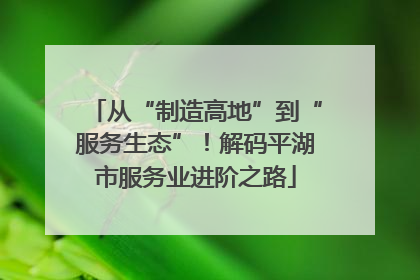 从“制造高地”到“服务生态”！解码平湖市服务业进阶之路