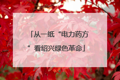 从一纸“电力药方”看绍兴绿色革命