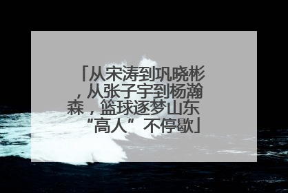 从宋涛到巩晓彬，从张子宇到杨瀚森，篮球逐梦山东“高人”不停歇