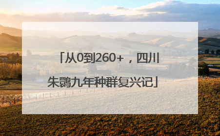 从0到260+，四川朱鹮九年种群复兴记