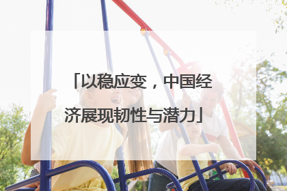 以稳应变，中国经济展现韧性与潜力