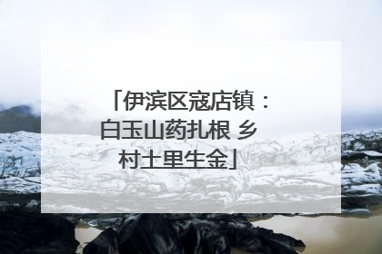 伊滨区寇店镇：白玉山药扎根 乡村土里生金