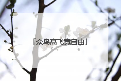 众鸟高飞竞自由