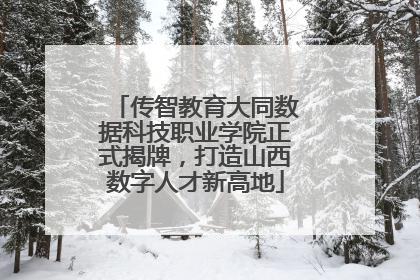 传智教育大同数据科技职业学院正式揭牌，打造山西数字人才新高地