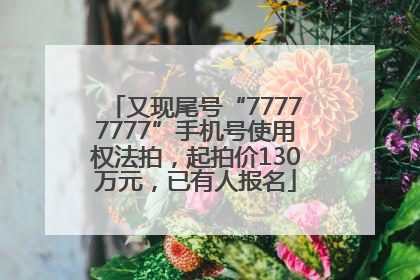 又现尾号“77777777”手机号使用权法拍，起拍价130万元，已有人报名