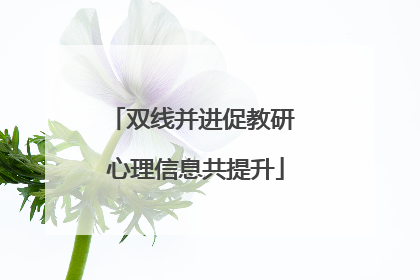 双线并进促教研 心理信息共提升