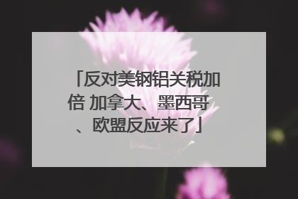 反对美钢铝关税加倍 加拿大、墨西哥、欧盟反应来了