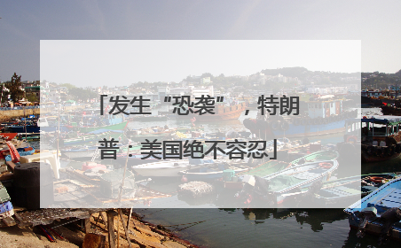 发生“恐袭”，特朗普：美国绝不容忍