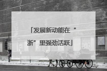 发展新动能在“浙”里强劲活跃