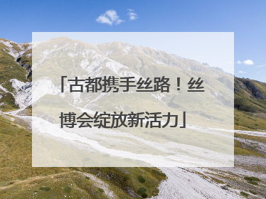 古都携手丝路！丝博会绽放新活力