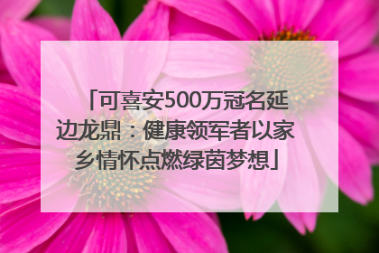 可喜安500万冠名延边龙鼎：健康领军者以家乡情怀点燃绿茵梦想
