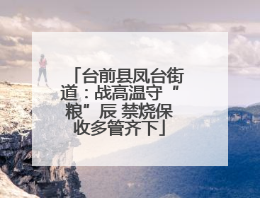 台前县凤台街道：战高温守“粮”辰 禁烧保收多管齐下