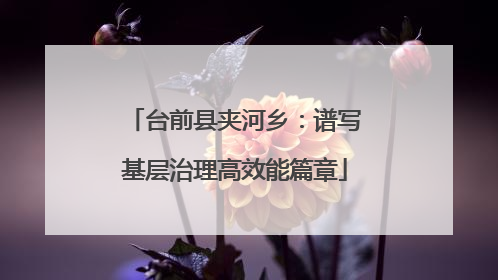 台前县夹河乡：谱写基层治理高效能篇章
