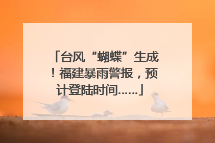 台风“蝴蝶”生成！福建暴雨警报，预计登陆时间……