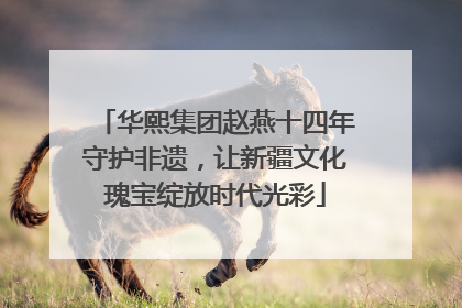 华熙集团赵燕十四年守护非遗，让新疆文化瑰宝绽放时代光彩
