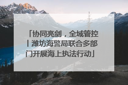 协同亮剑，全域管控丨潍坊海警局联合多部门开展海上执法行动