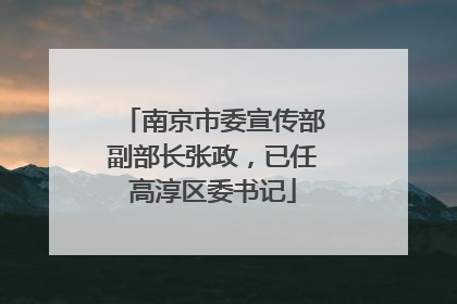 南京市委宣传部副部长张政，已任高淳区委书记