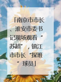南京市市长、淮安市委书记现场观看“苏超”，镇江市市长“探班”球员