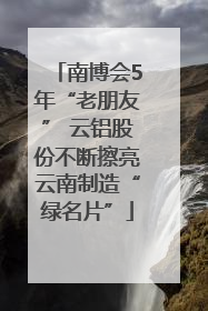 南博会5年“老朋友” 云铝股份不断擦亮云南制造“绿名片”