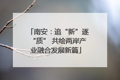 南安：追“新”逐“质” 共绘两岸产业融合发展新篇