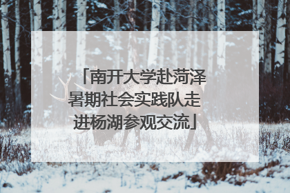 南开大学赴菏泽暑期社会实践队走进杨湖参观交流