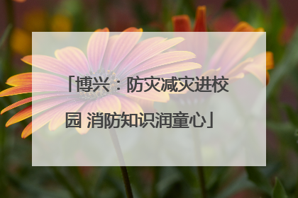 博兴：防灾减灾进校园 消防知识润童心