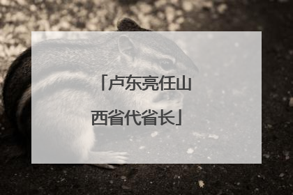 卢东亮任山西省代省长