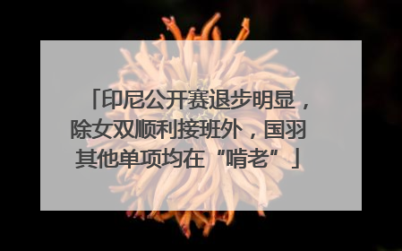印尼公开赛退步明显，除女双顺利接班外，国羽其他单项均在“啃老”