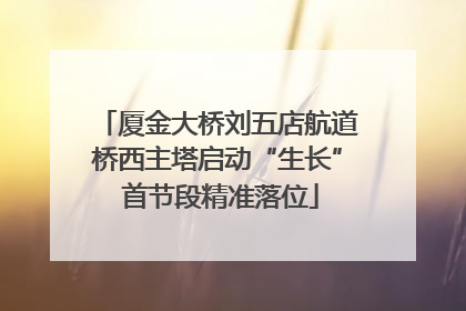 厦金大桥刘五店航道桥西主塔启动“生长” 首节段精准落位