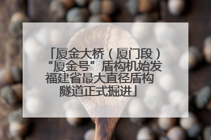 厦金大桥（厦门段）“厦金号”盾构机始发 福建省最大直径盾构隧道正式掘进